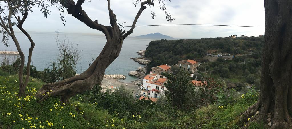 Villa Rosmary - Sorrento Coast - Gulf Of Naples View Екстериор снимка