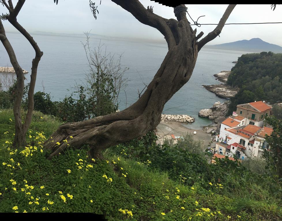 Villa Rosmary - Sorrento Coast - Gulf Of Naples View Екстериор снимка