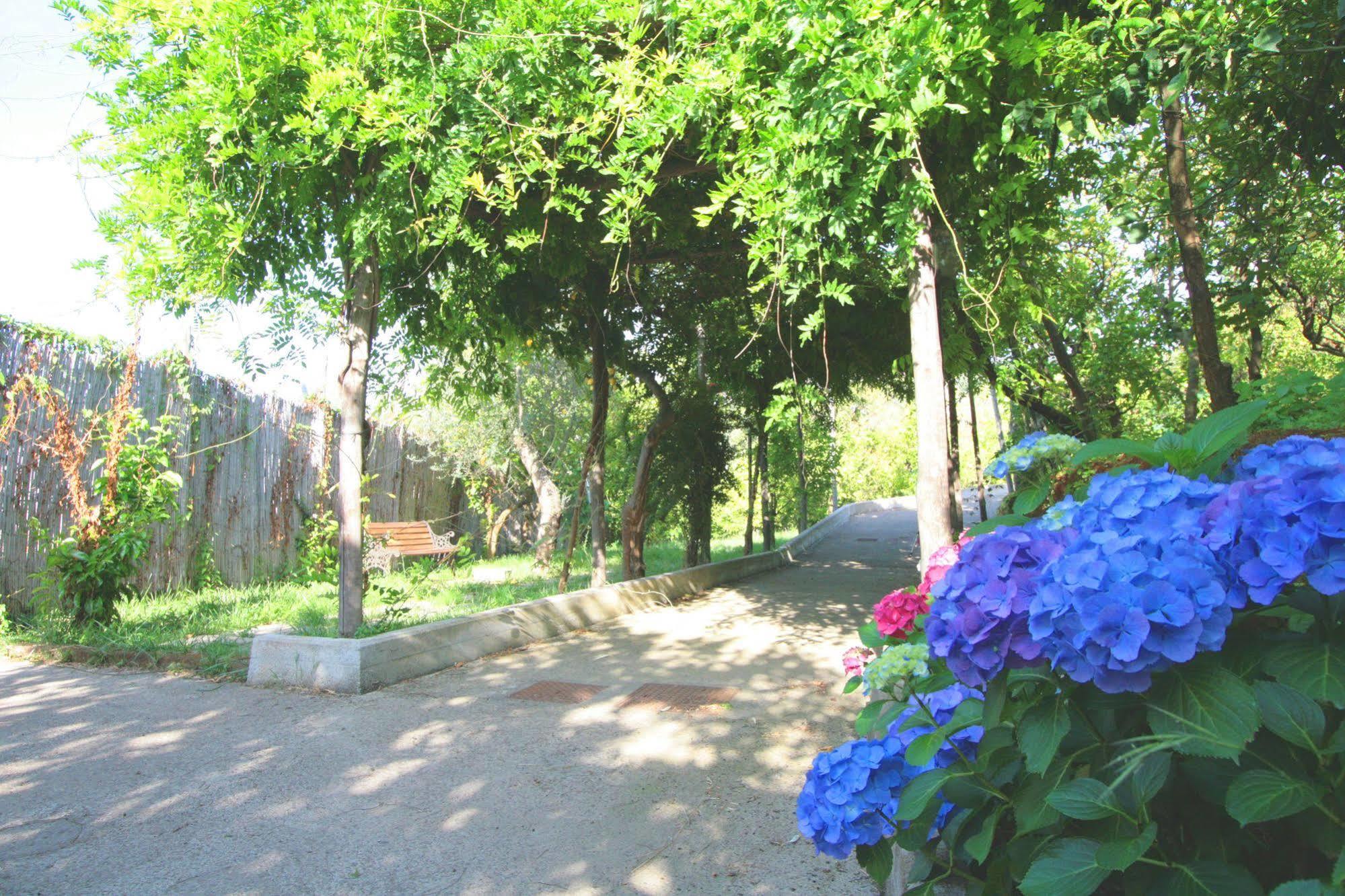 Villa Rosmary - Sorrento Coast - Gulf Of Naples View Екстериор снимка