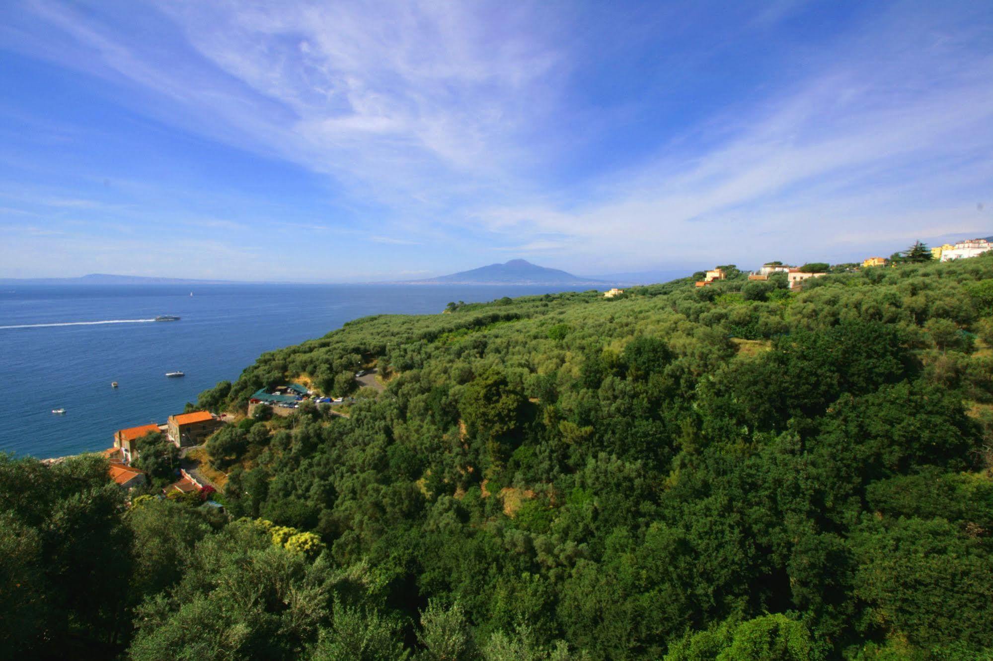 Villa Rosmary - Sorrento Coast - Gulf Of Naples View Екстериор снимка