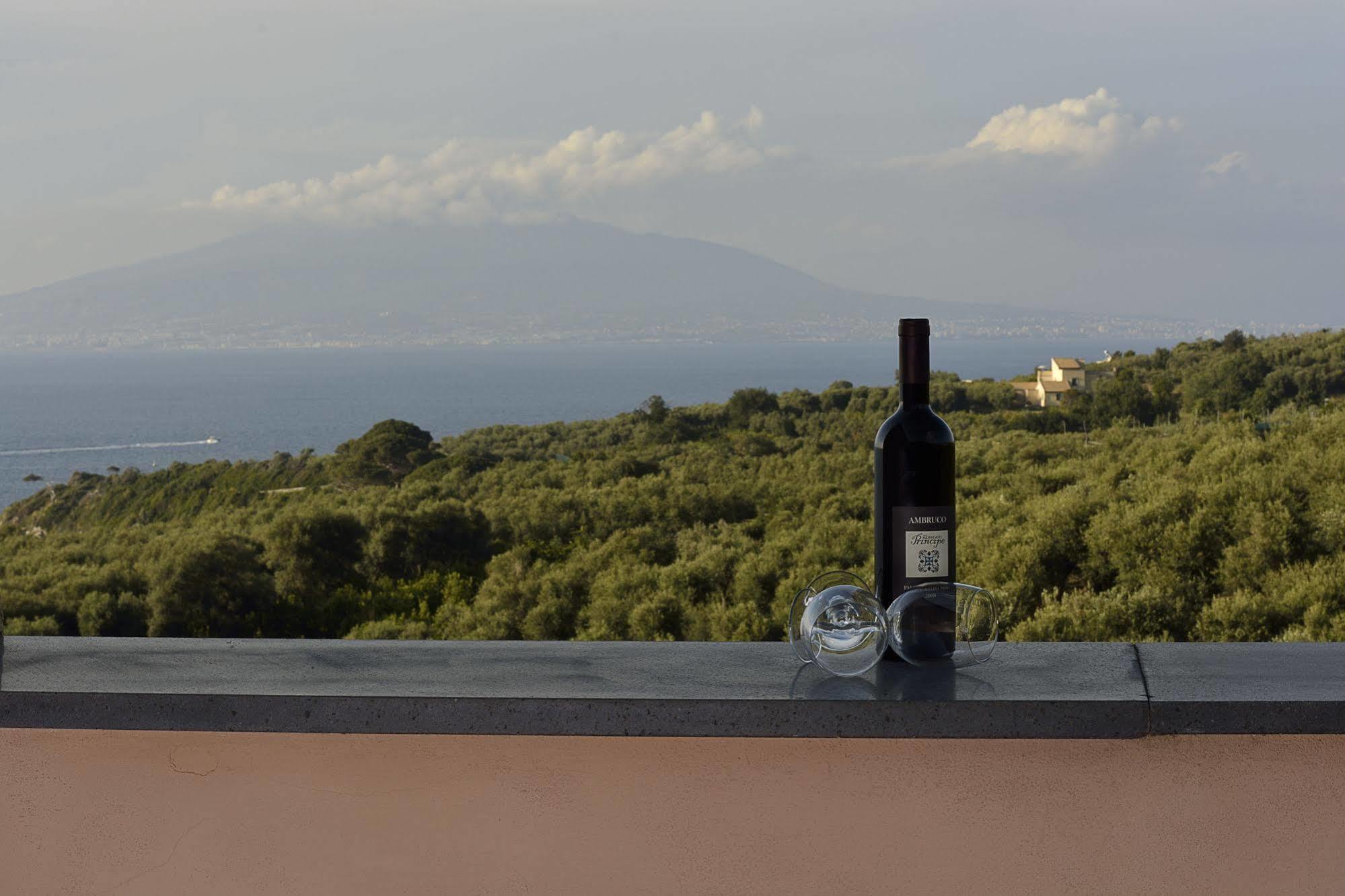 Villa Rosmary - Sorrento Coast - Gulf Of Naples View Екстериор снимка