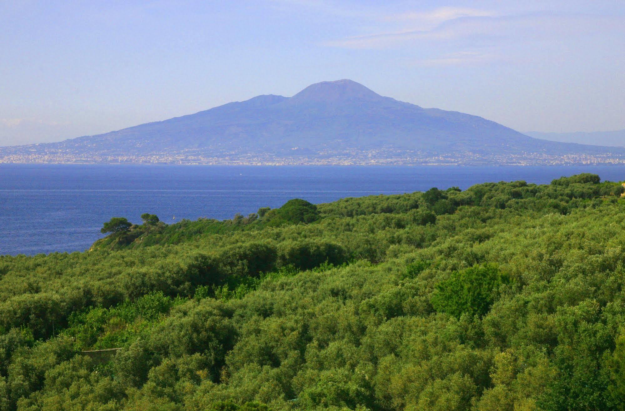 Villa Rosmary - Sorrento Coast - Gulf Of Naples View Екстериор снимка