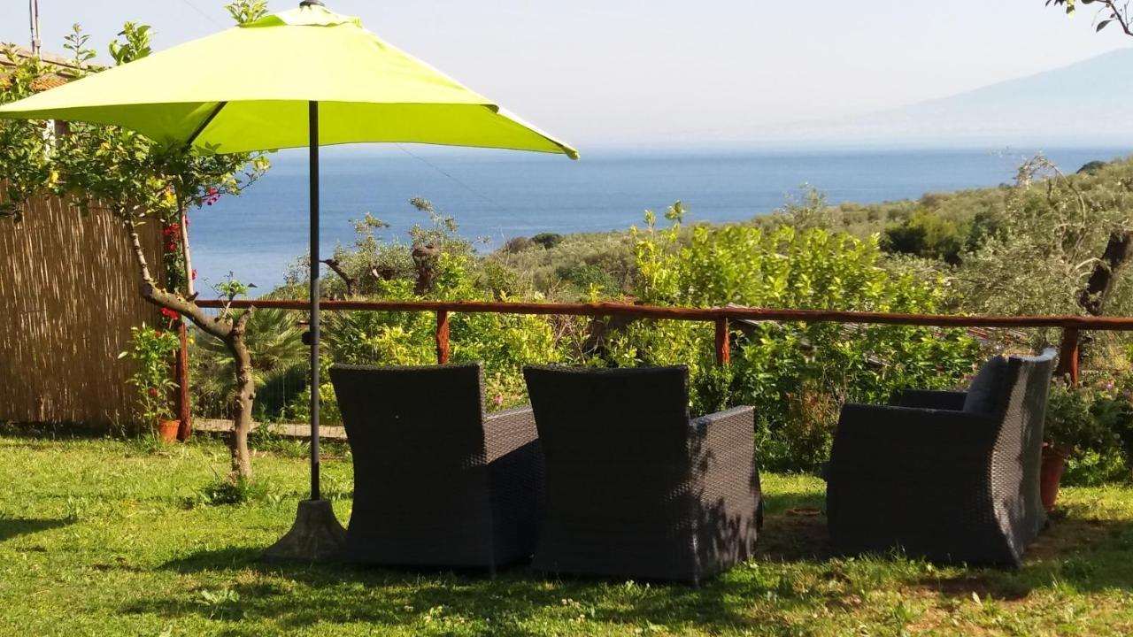Villa Rosmary - Sorrento Coast - Gulf Of Naples View Екстериор снимка