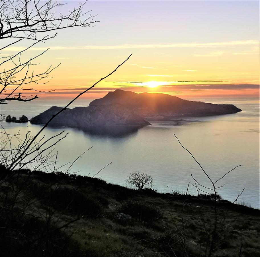 Villa Rosmary - Sorrento Coast - Gulf Of Naples View Екстериор снимка
